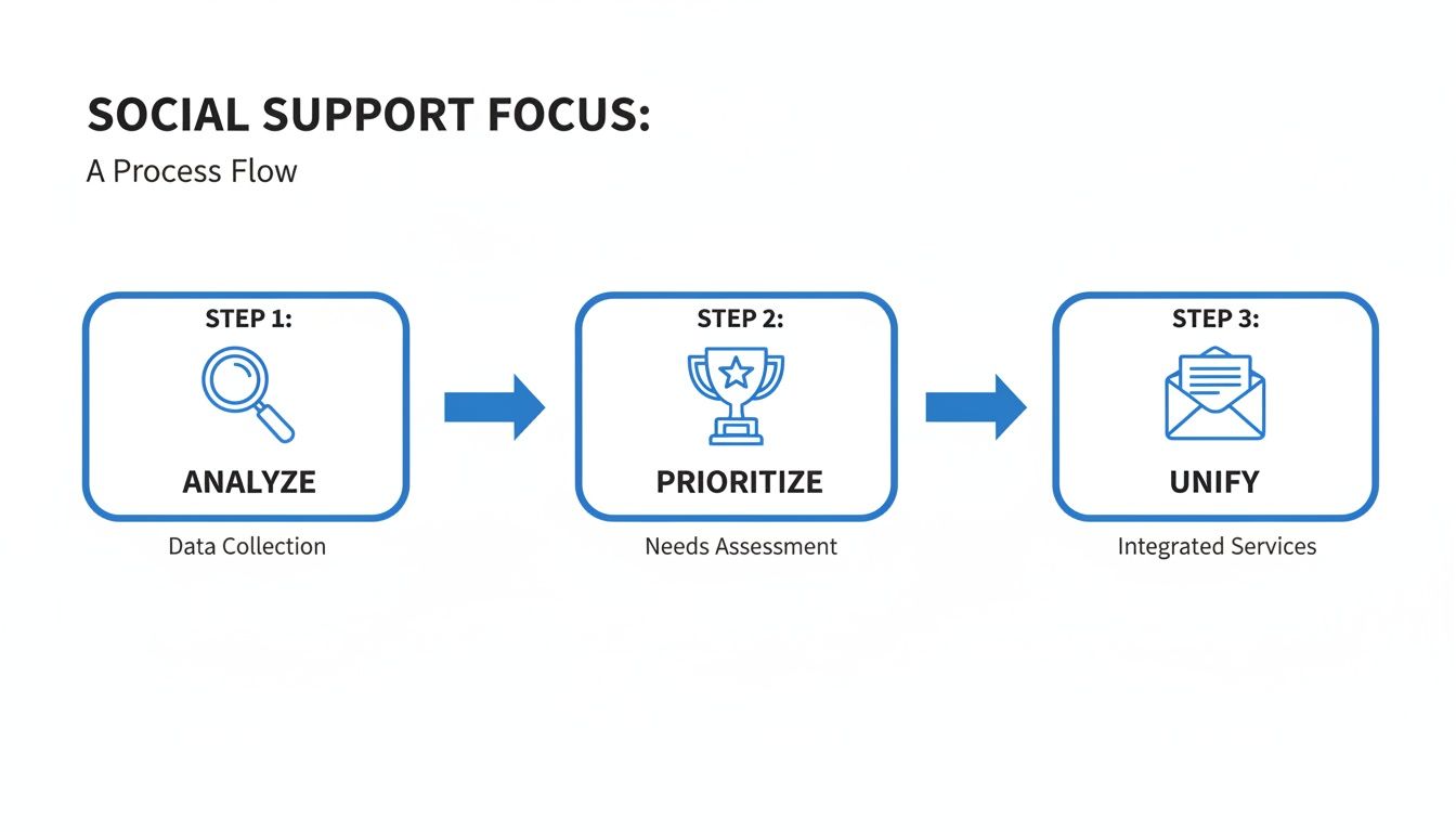 A process flow diagram illustrating three steps for social support: Analyze, Prioritize, and Unify.