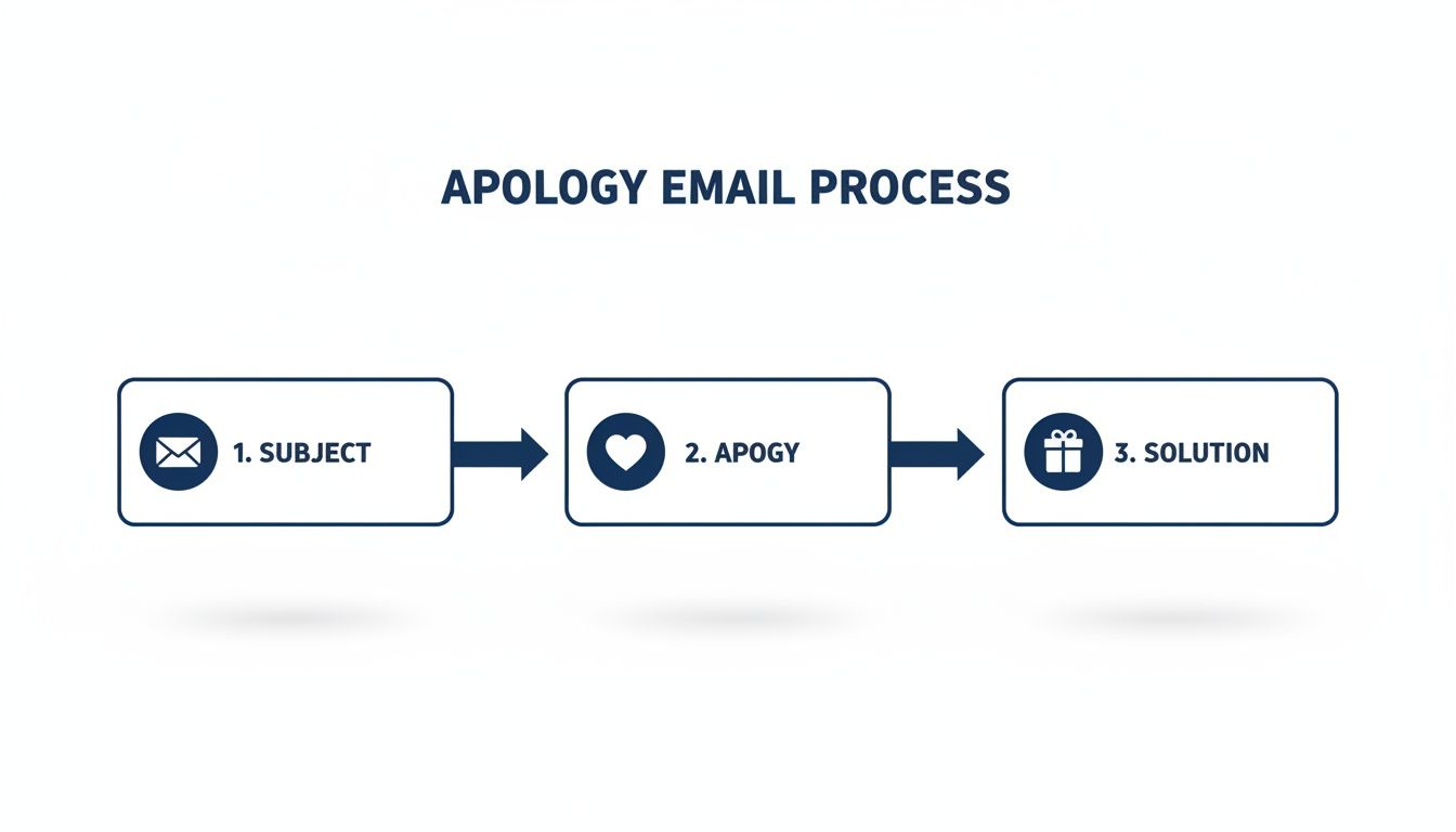 Flowchart illustrating the apology email process with steps for subject, apology, and solution.