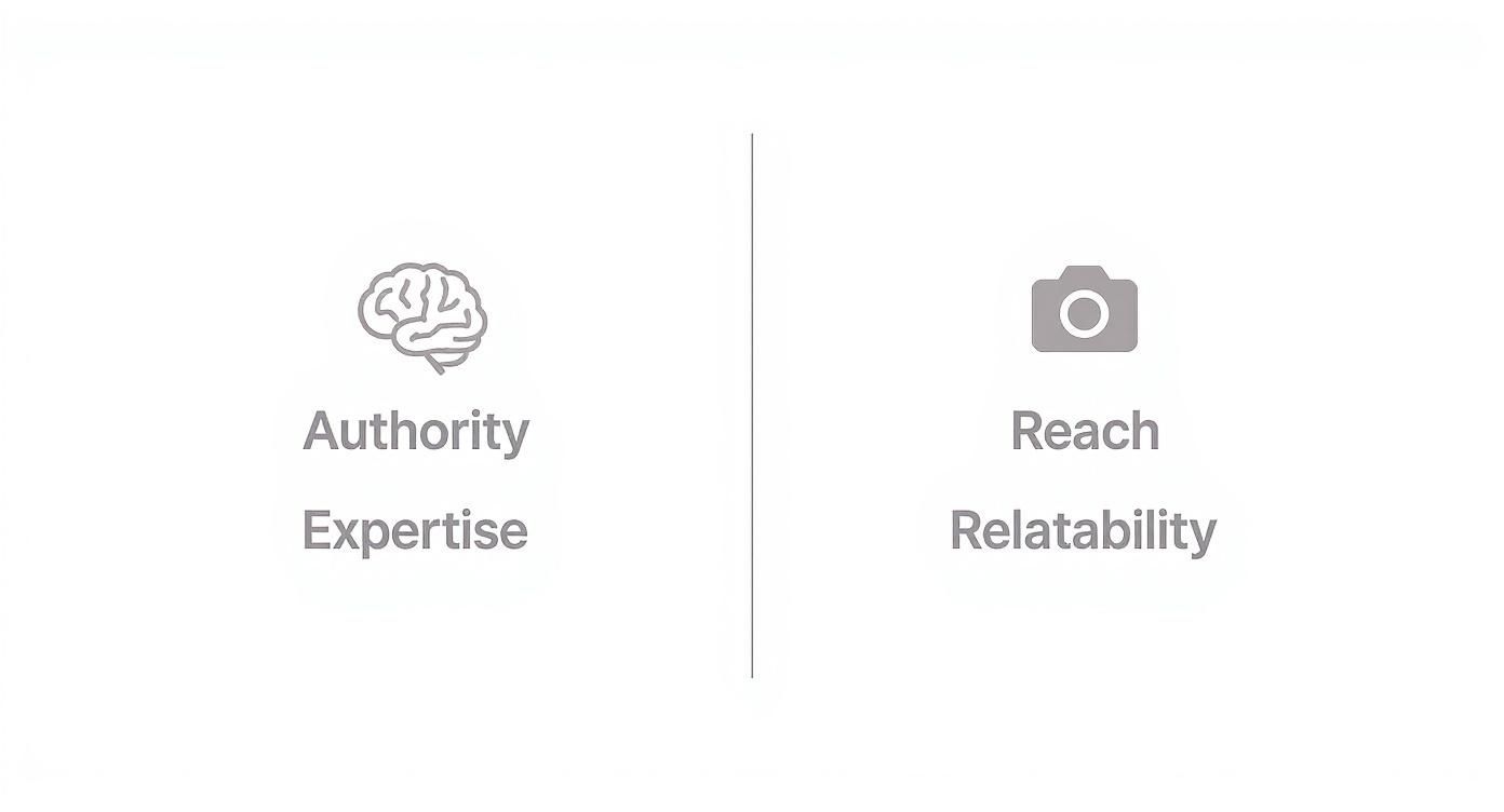 A diagram comparing marketing attributes: Authority, Expertise (brain icon) and Reach, Relatability (camera icon).