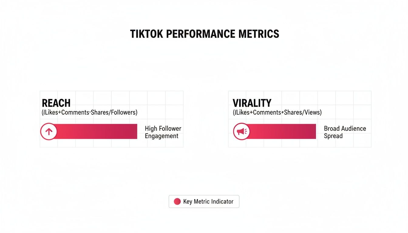 TikTok performance metrics showing calculations for reach and virality, highlighting engagement and audience spread.