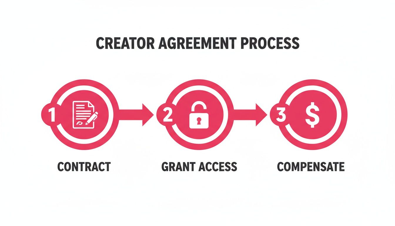 A three-step Creator Agreement Process infographic showing Contract, Grant Access, and Compensate.