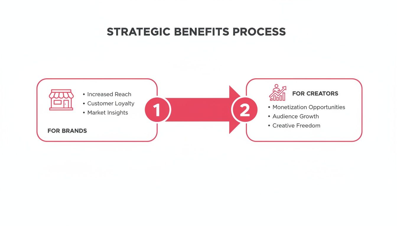 Flowchart showing the strategic benefits process for brands and creators with numbered steps.
