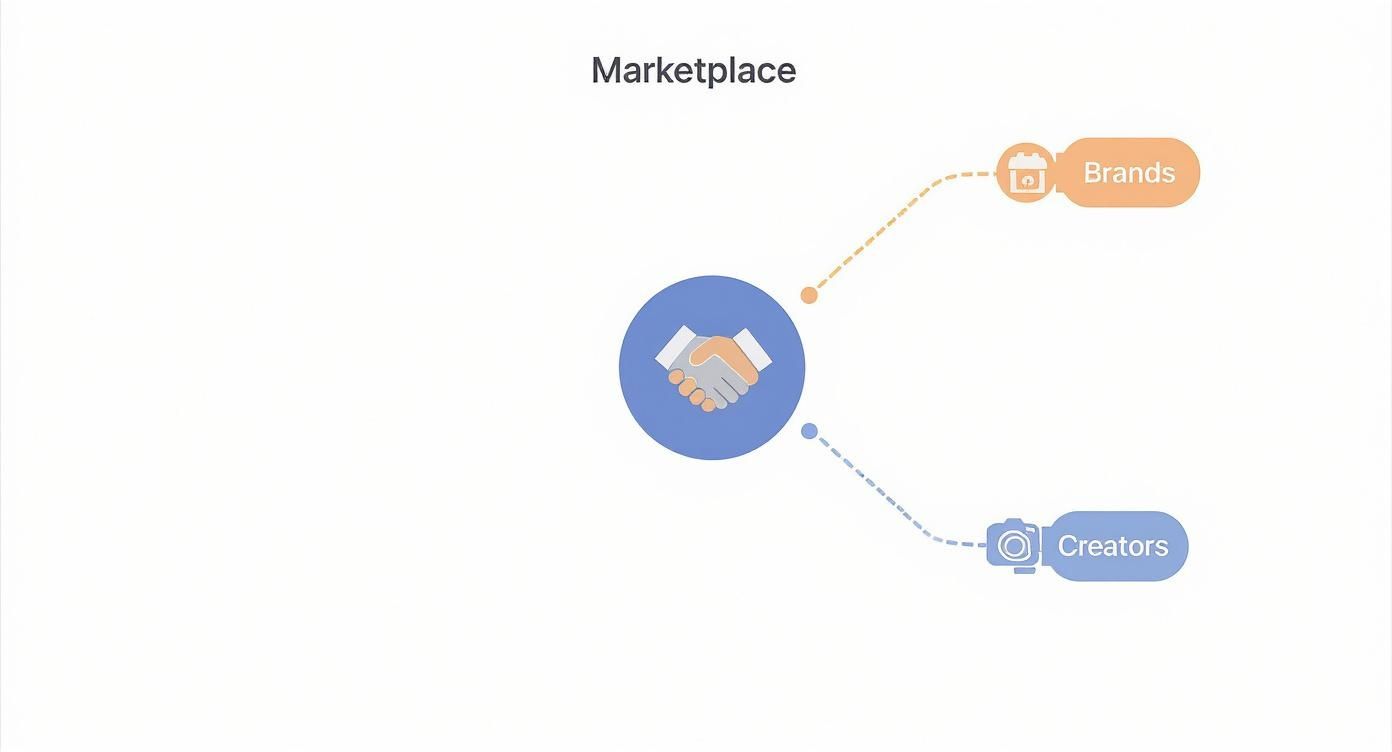 Infographic about what is creator marketplace