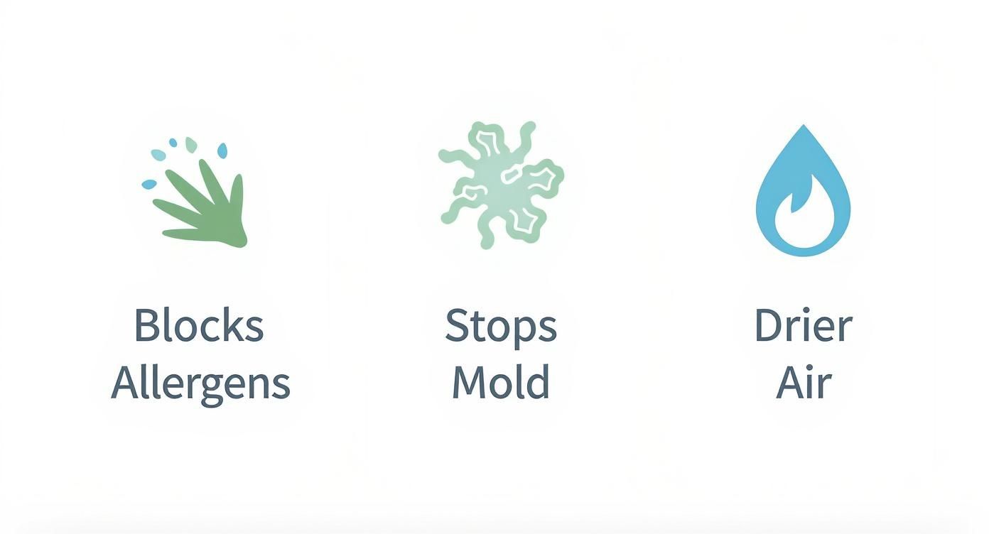 Infographic with three icons illustrating benefits: blocking allergens, stopping mold growth, and providing drier air.
