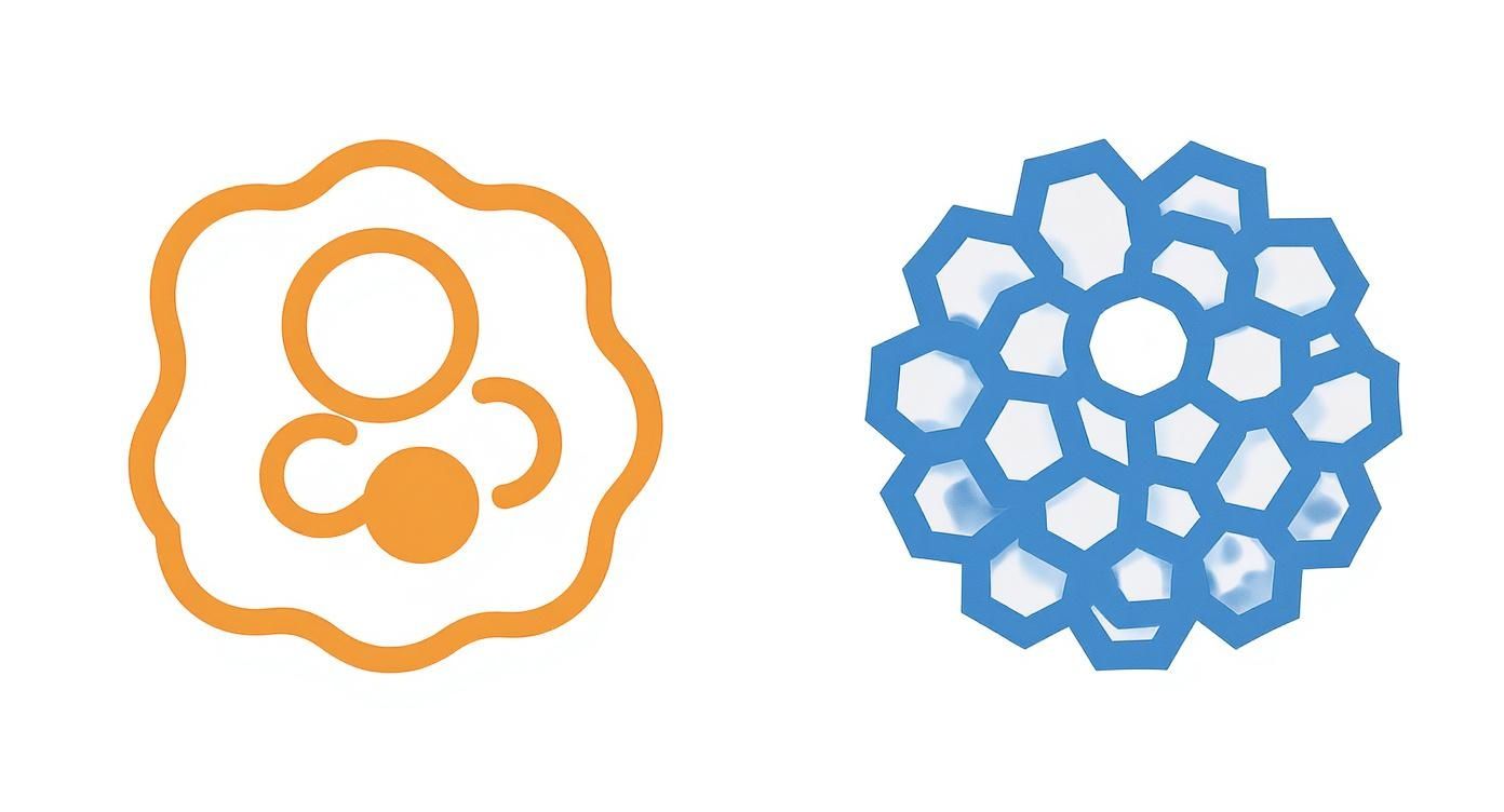 Two abstract diagrams comparing orange open-cell foam and blue closed-cell foam structures.