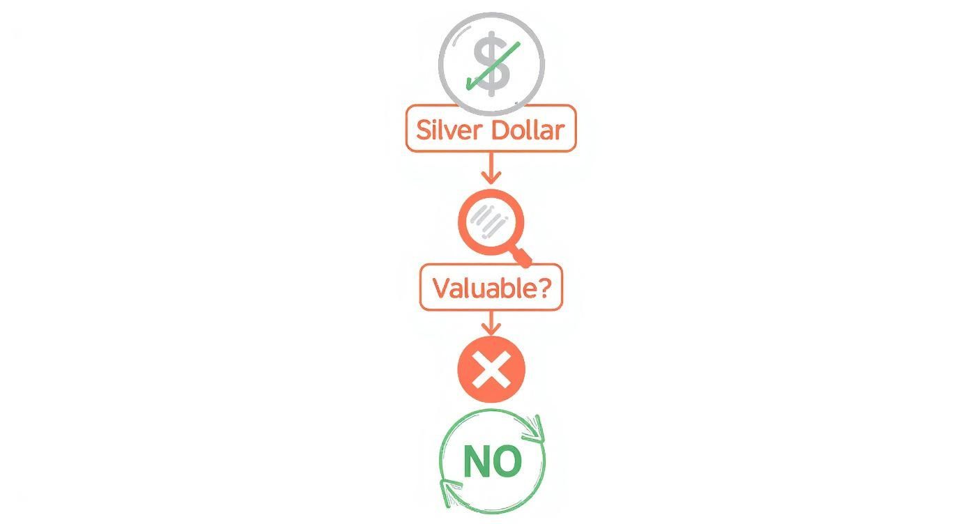 Infographic about how do i clean a silver dollar