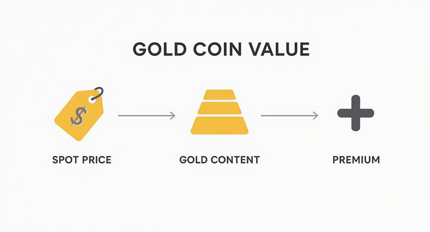 Diagram showing gold coin value is calculated from spot price, gold content, and premium.