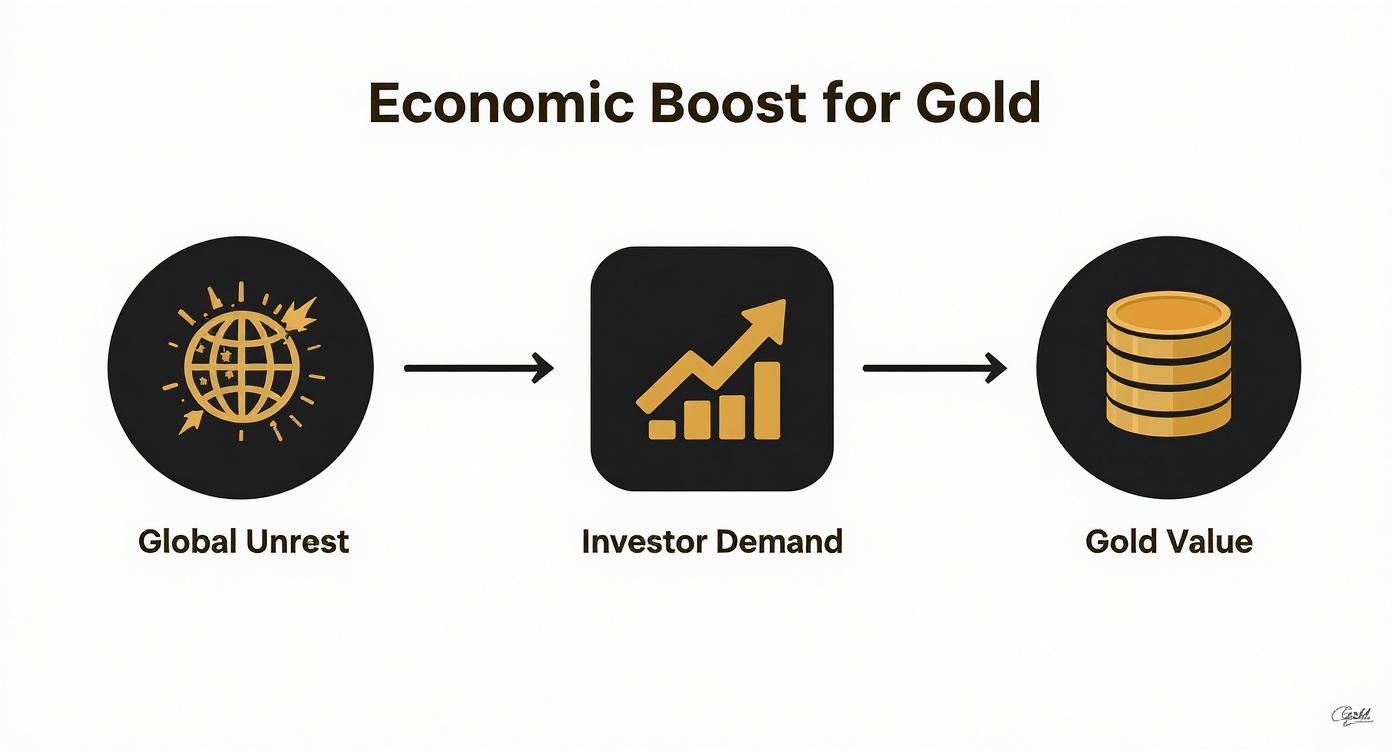 Infographic about certified gold coin