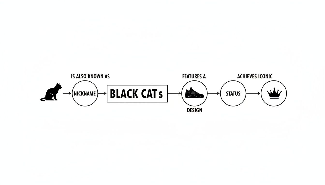 A flowchart illustrates a black cat nickname for sneakers, leading to an iconic design status.