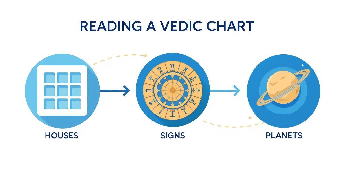 Infographic about how to read vedic astrology chart
