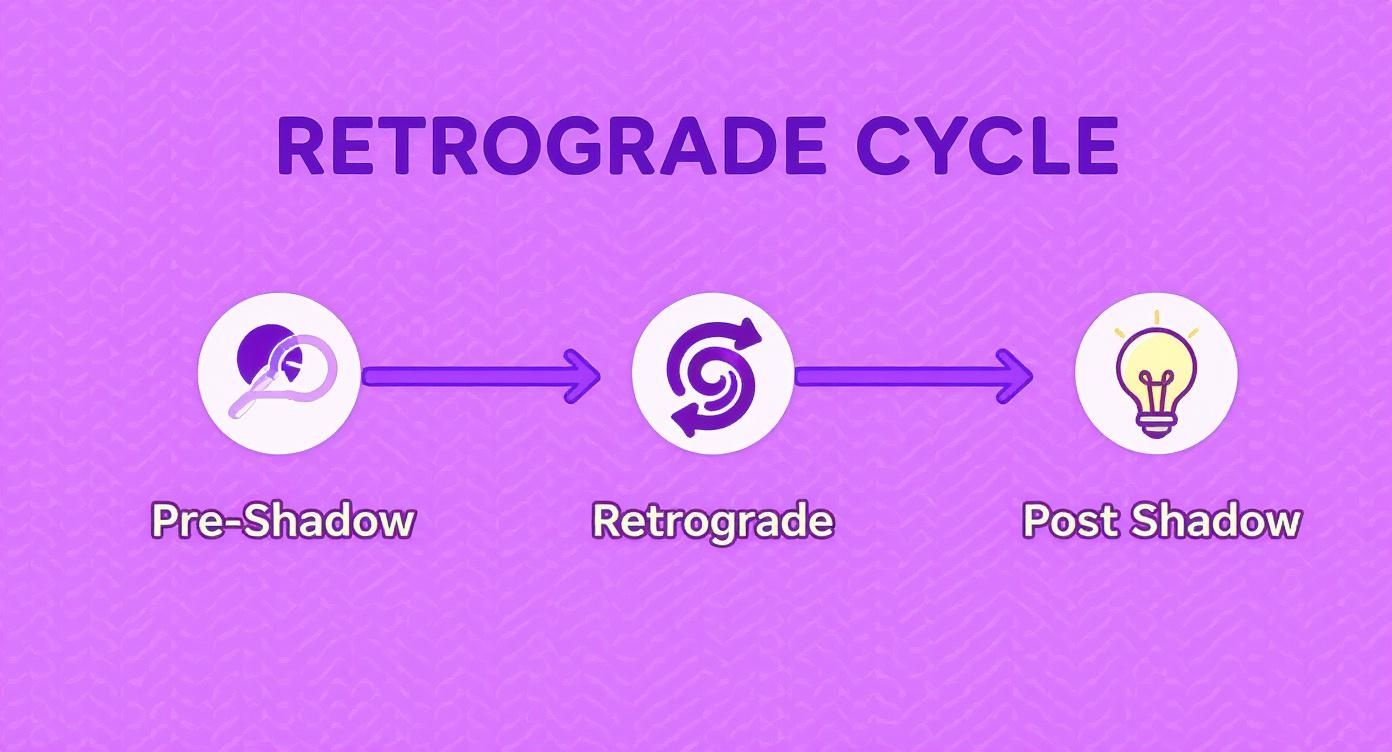 Infographic about what does retrograde mean in astrology
