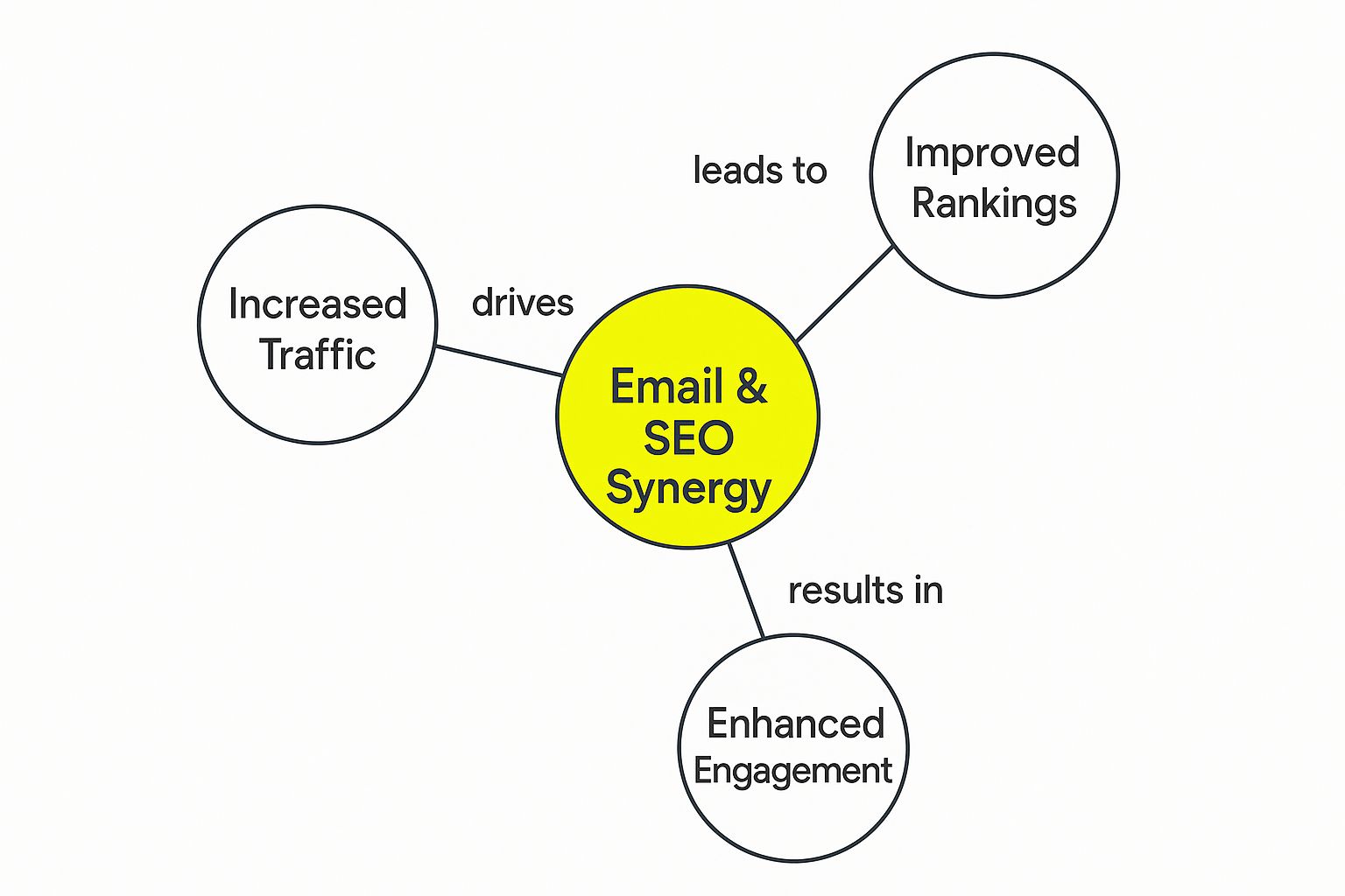Infographic about email marketing and seo