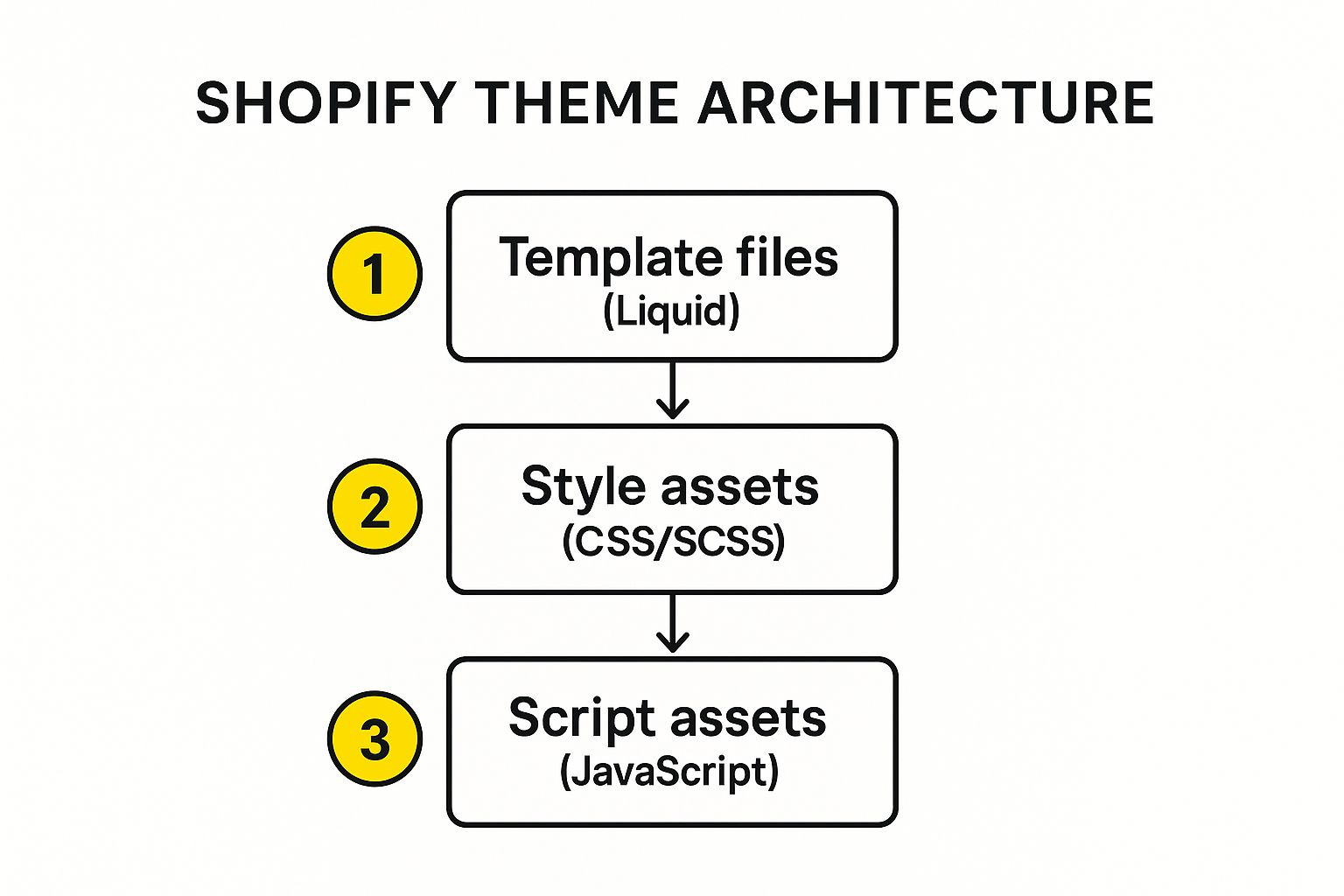 Infographic about customizing shopify themes