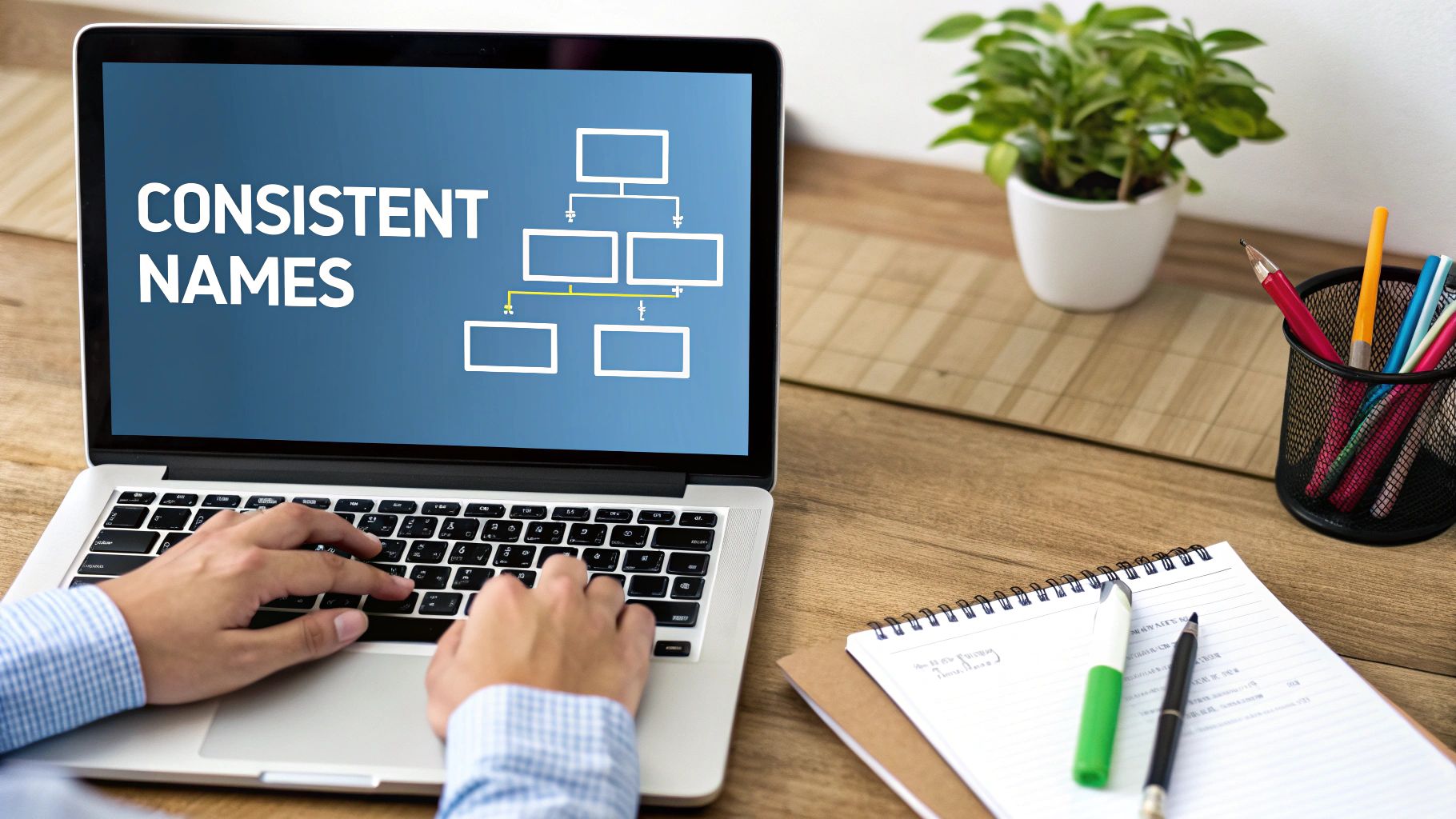 Develop Standardized File Naming and Organization Conventions