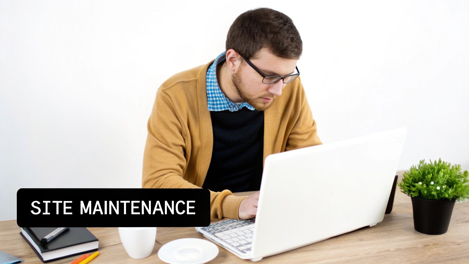 WP Site Care Comprehensive WordPress Maintenance