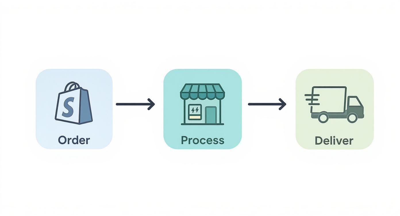 Infographic about shipstation and shopify