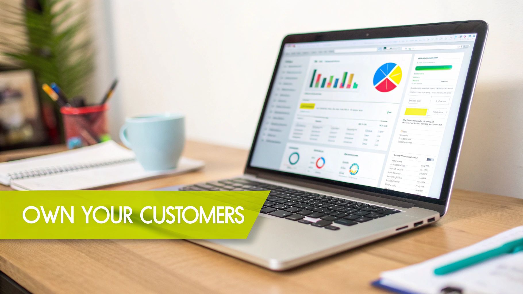 Shopify vs Amazon Traffic Channels