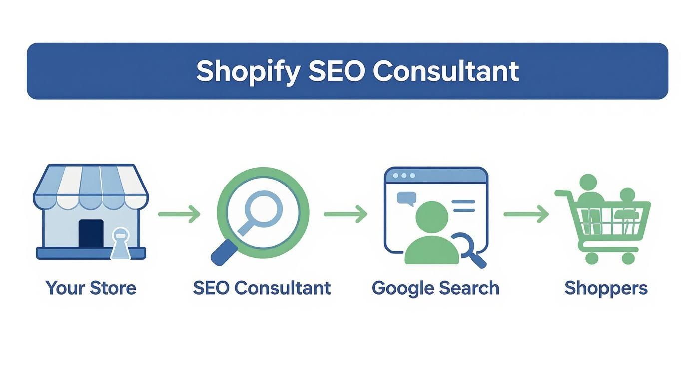 Infographic about shopify seo consultant