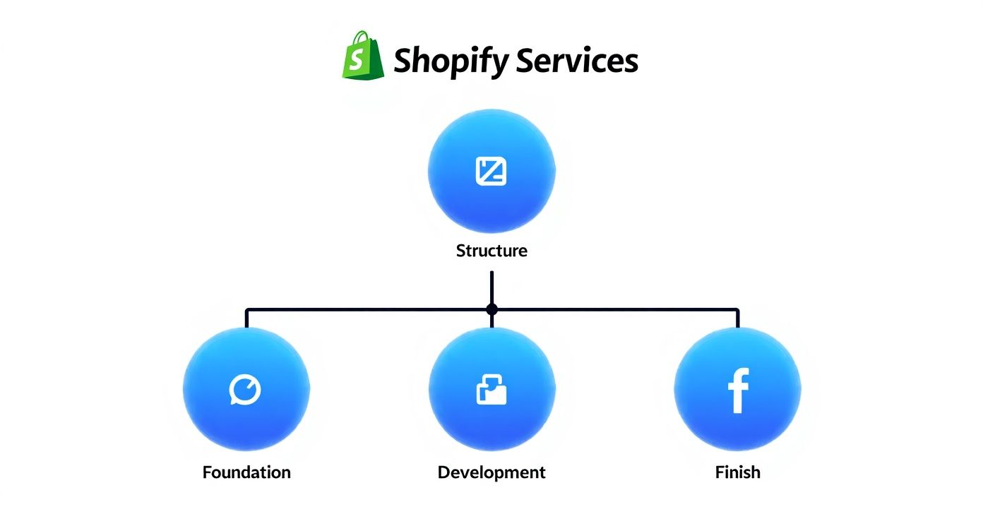 Infographic about shopify website development services