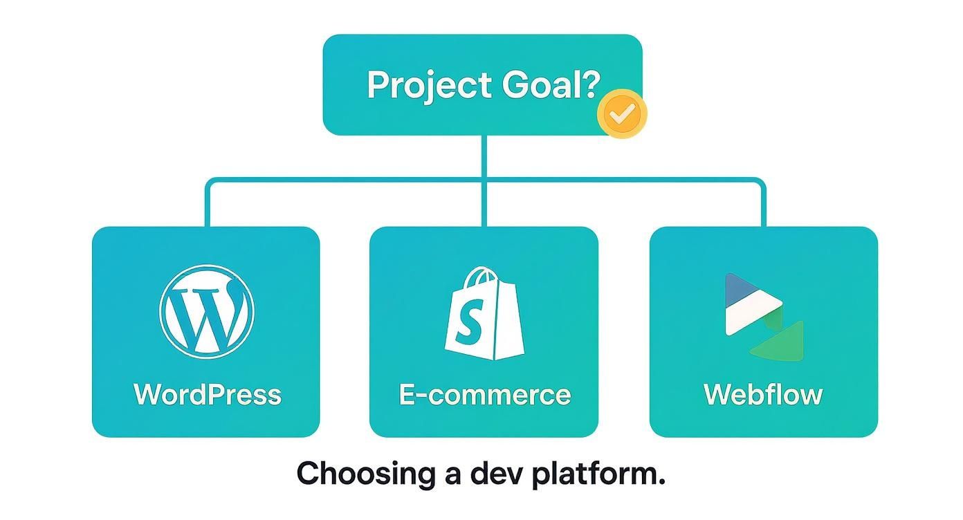 Infographic about white label development ageny