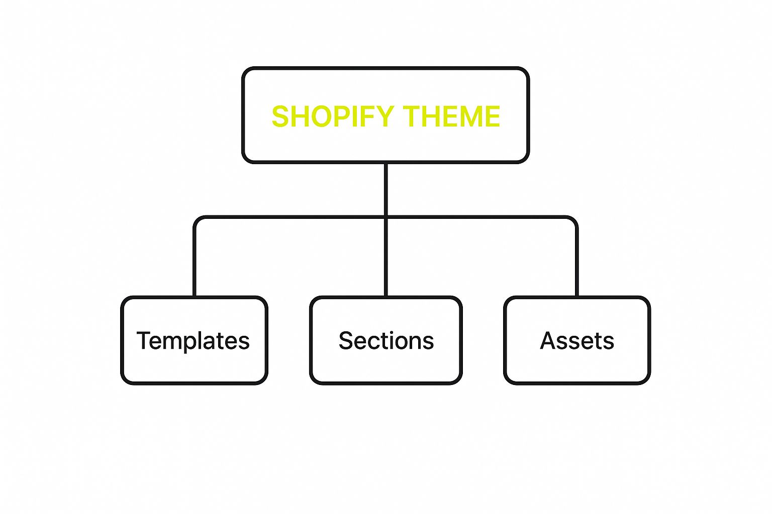 Infographic about develop shopify theme