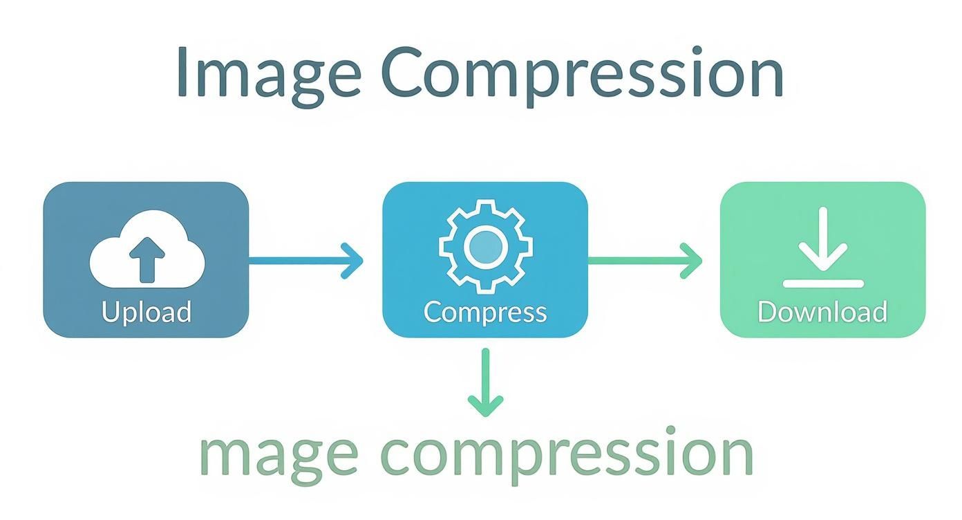 Infographic about how to optimize website images