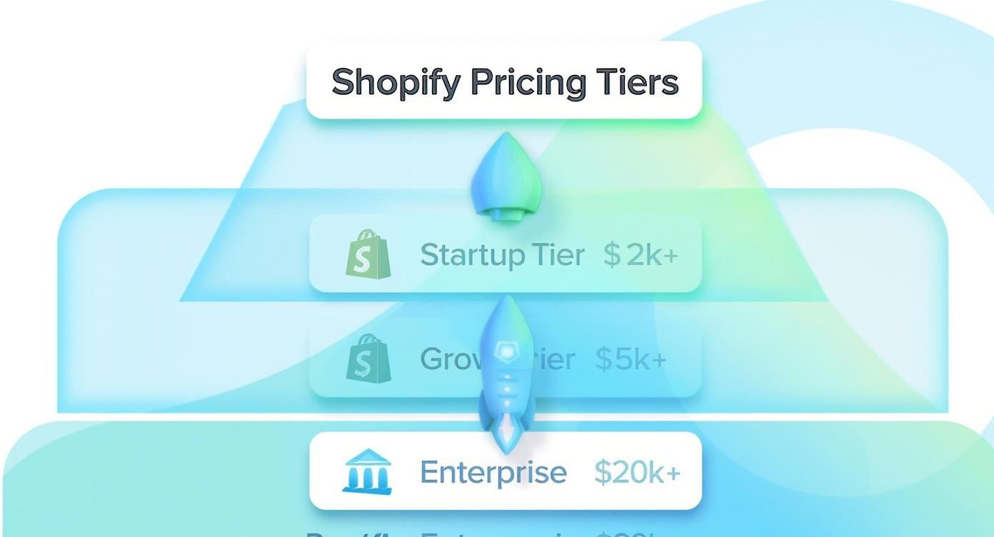 Infographic about shopify store development cost