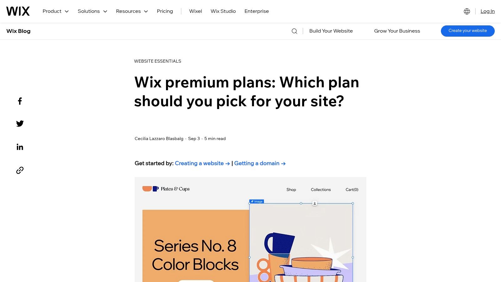 Wix (Wix eCommerce)
