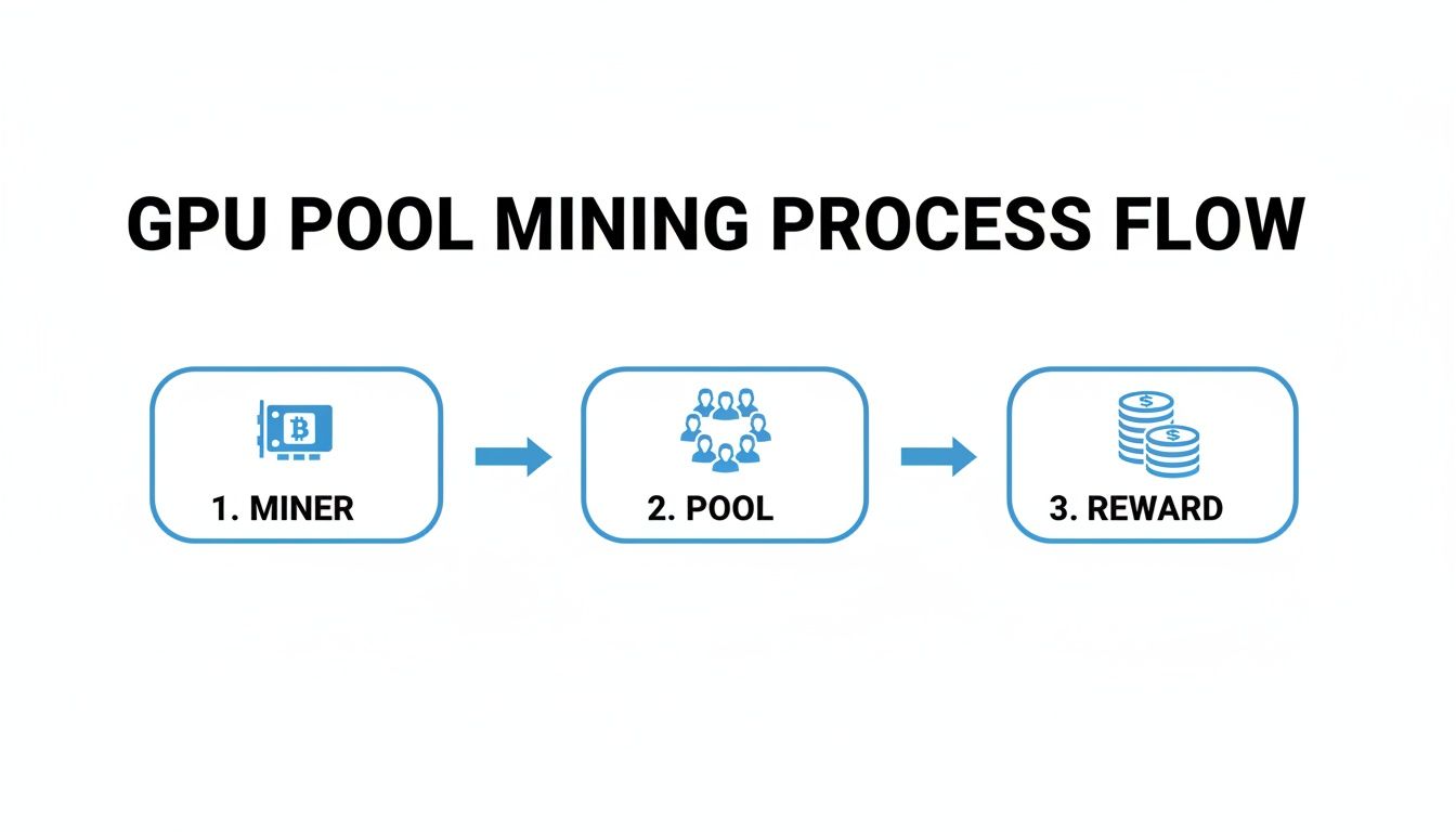Diagram showing the three-step GPU pool mining flow from an individual miner to the collective pool and finally to the reward.