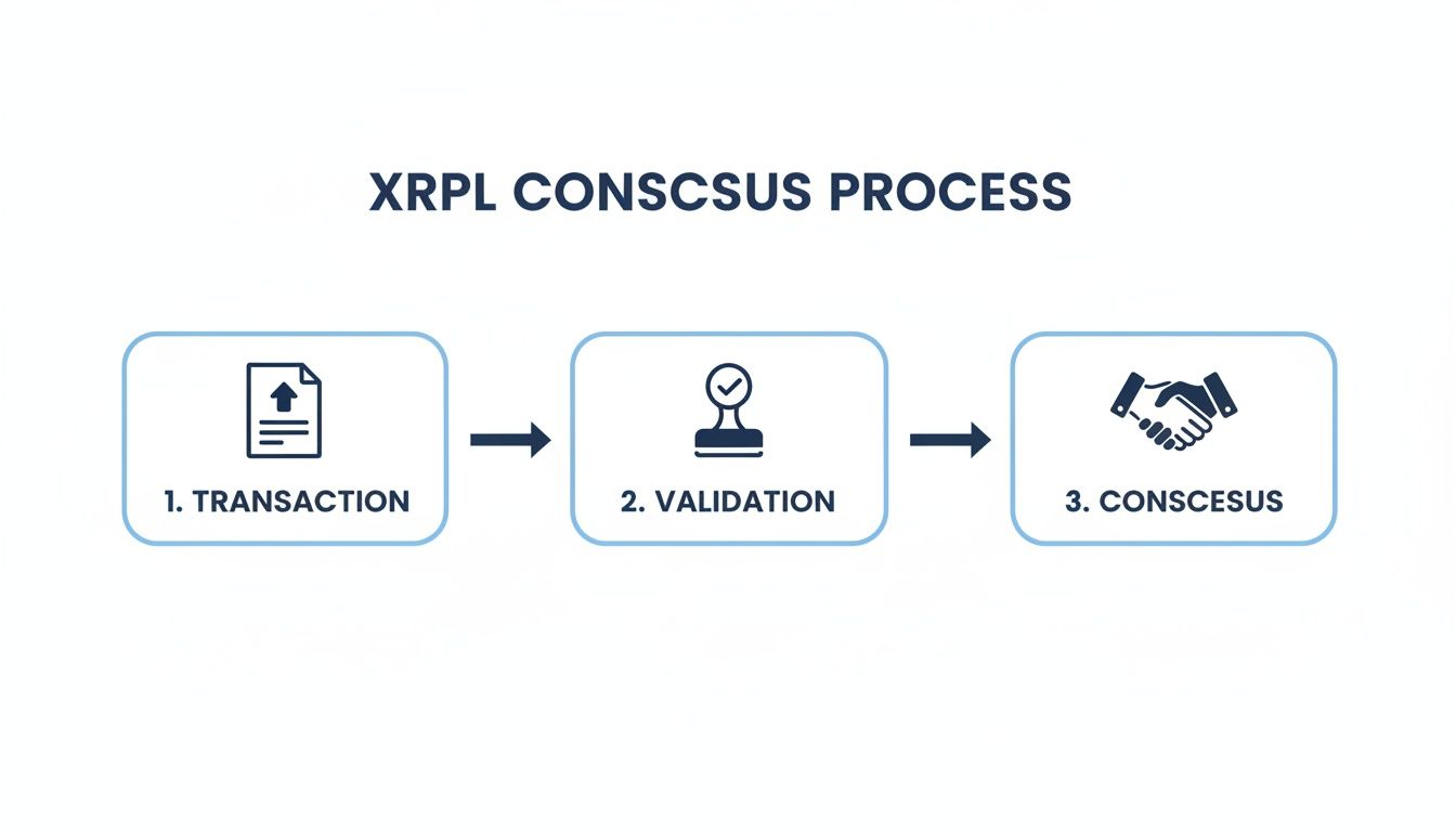 Flowchart illustrating the XRPL consensus process with steps for transaction, validation, and consensus.