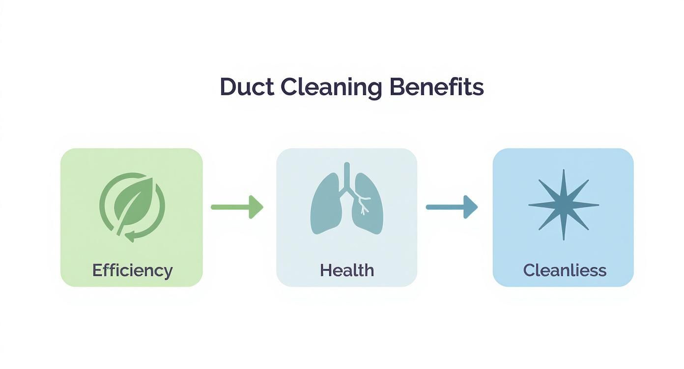 Infographic about air duct vent cleaning near me