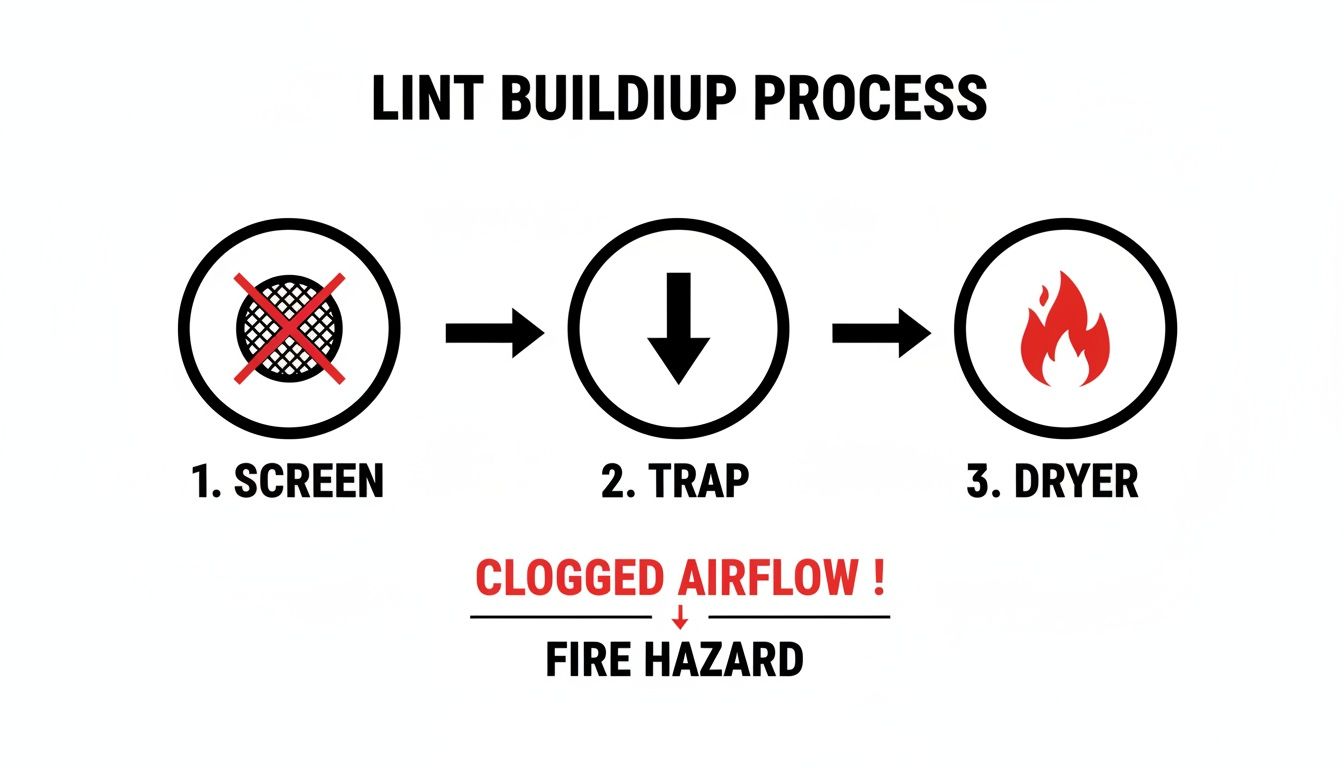 Diagram showing the lint buildup process from dryer screen to trap, leading to clogged airflow and a fire hazard.