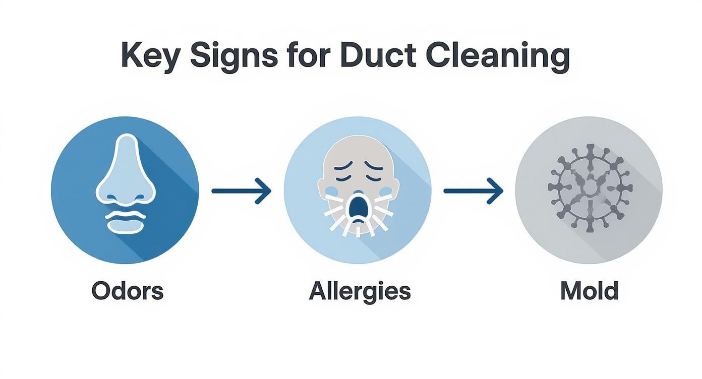 Three circular icons showing progression from odors to allergies to mold indicating duct cleaning needs