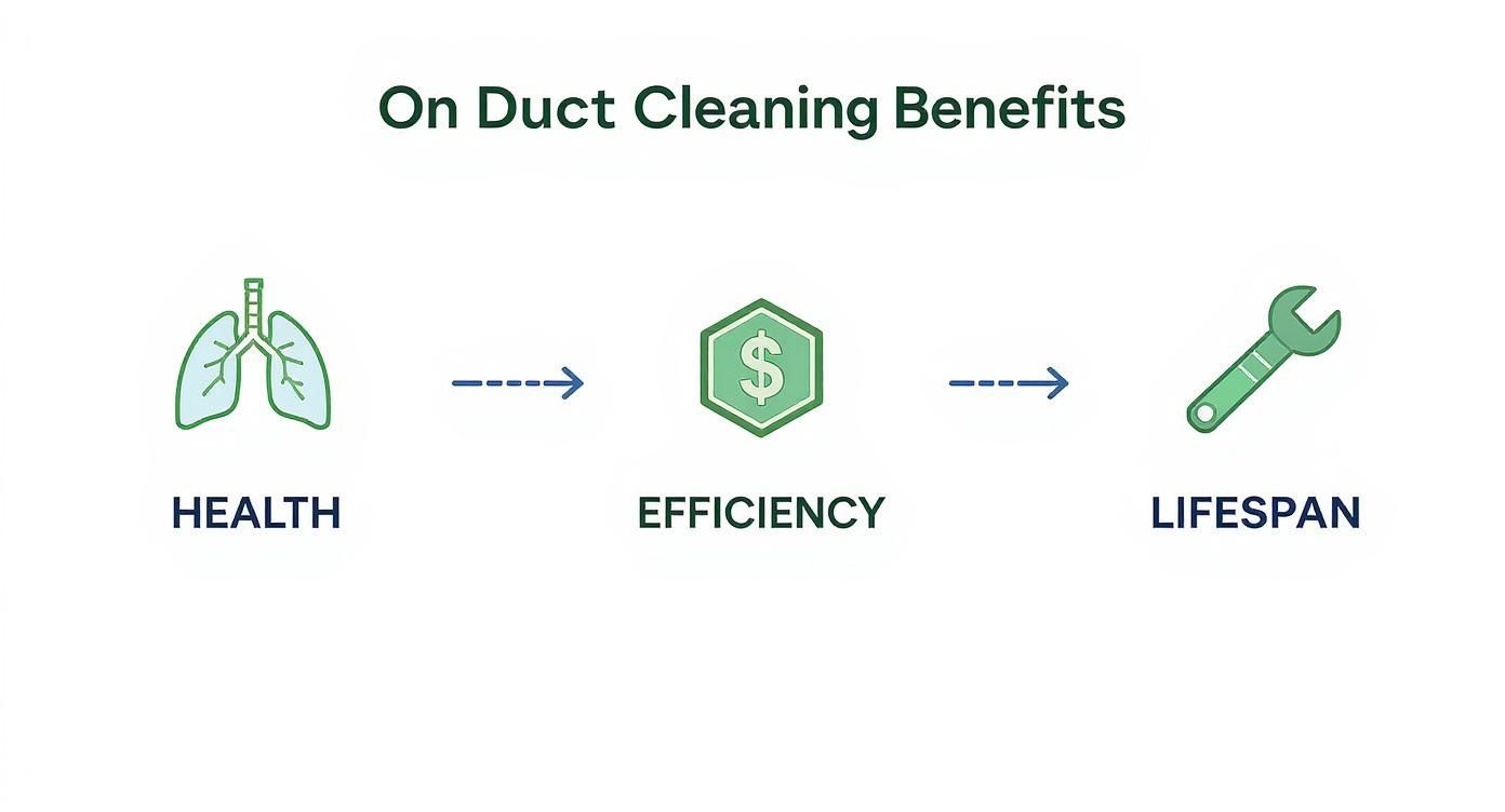 Infographic about air duct cleaning