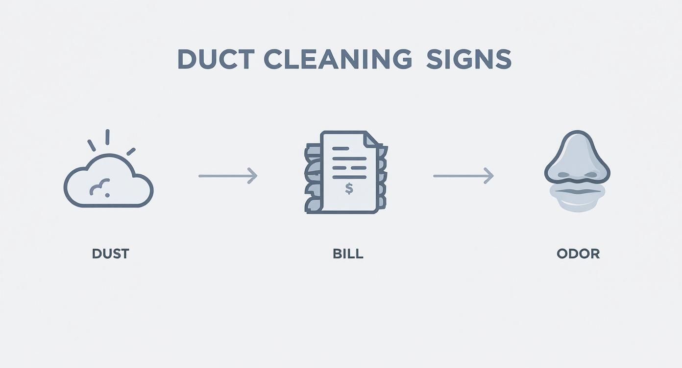 Infographic about air duct cleaning near me