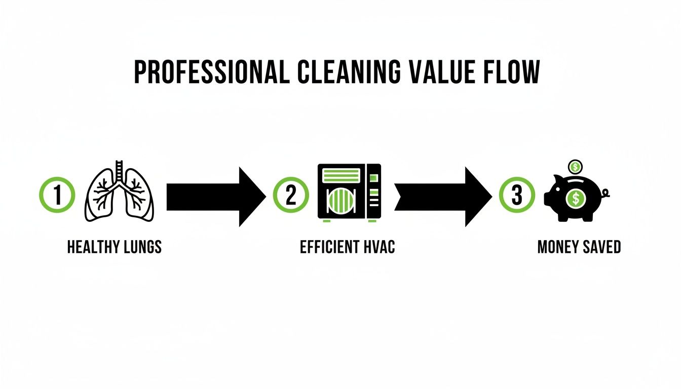 Infographic showing professional cleaning leads to healthy lungs, efficient HVAC, and money saved.