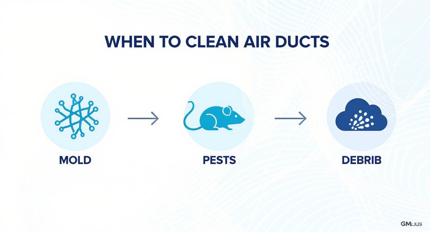 Infographic showing three reasons to clean air ducts: mold, pests, and debris accumulation