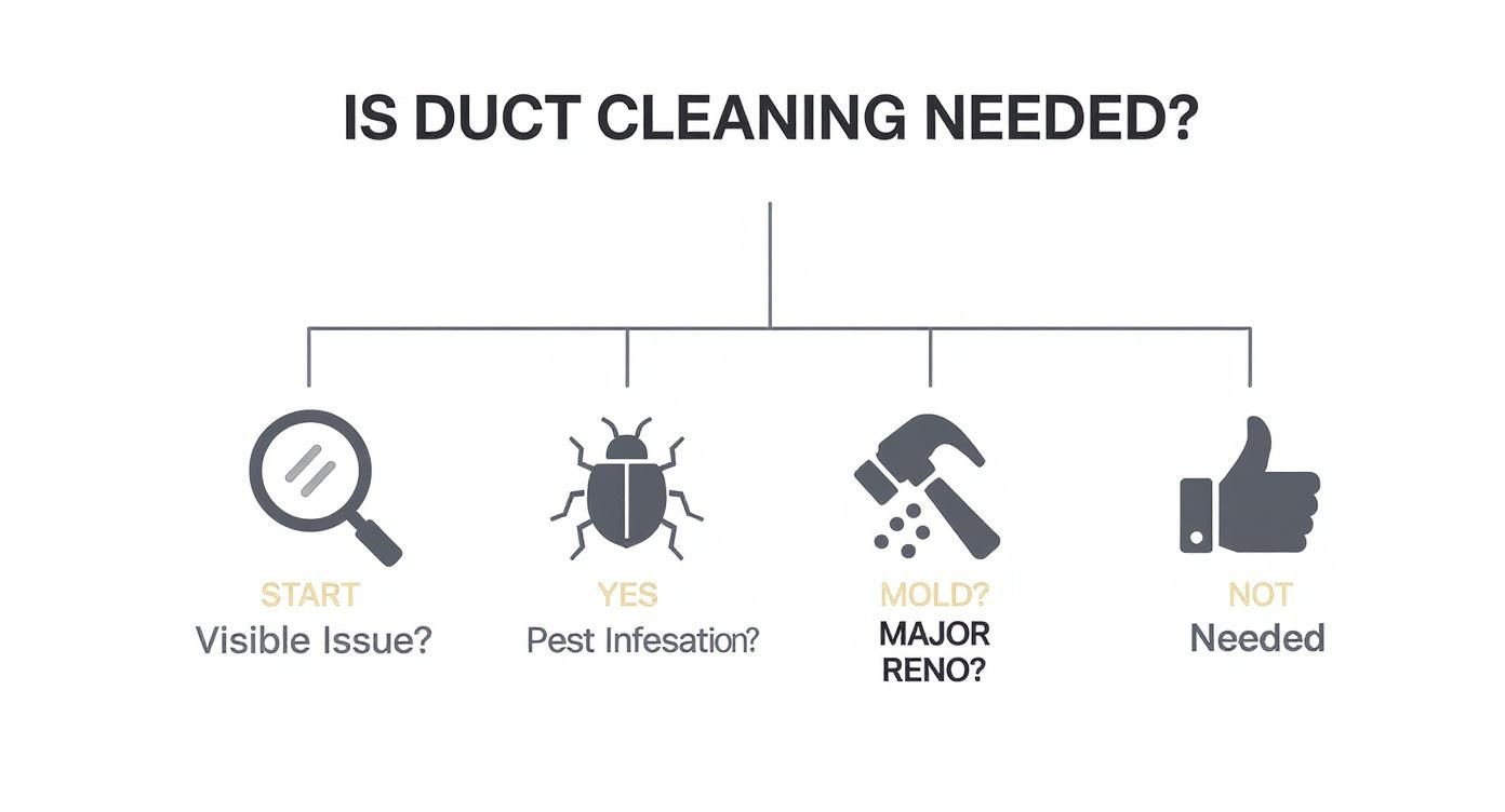 Infographic about duct cleaning is it necessary