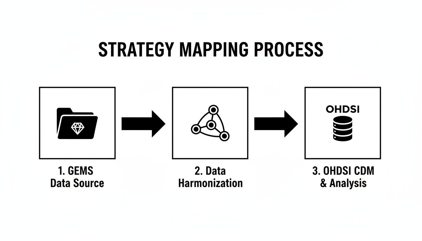 A diagram outlining a strategy mapping process, showing data flow from GEMS to OHDSI CDM through harmonization.
