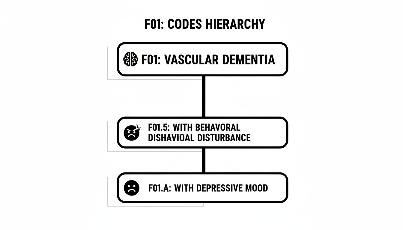 A diagnostic code hierarchy for F01 Vascular Dementia, showing subcategories for behavioral disturbance and depressive mood.