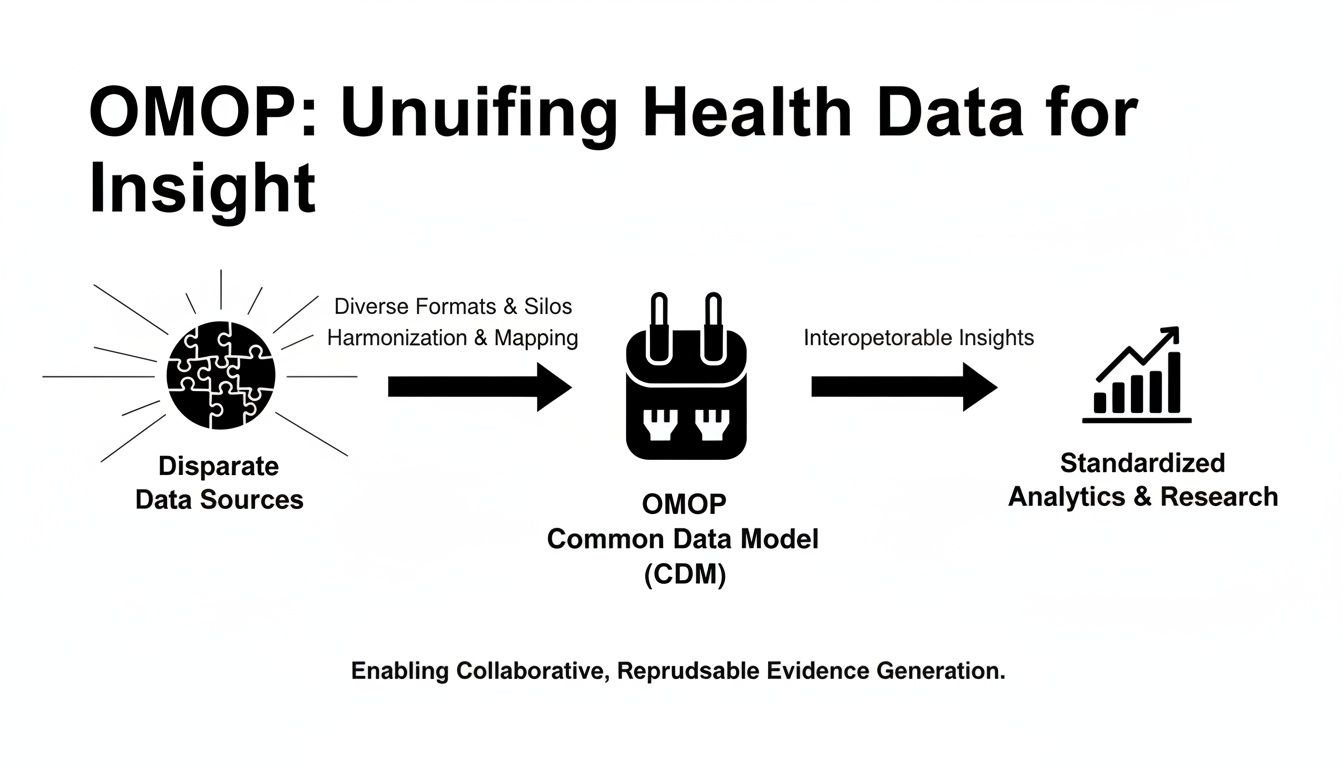 Diagram showing OMOP CDM unifying disparate health data for standardized analytics and research.