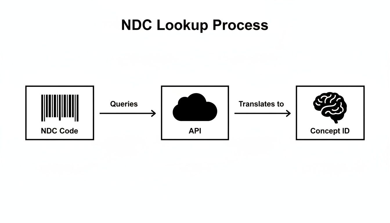 Diagram illustrating the NDC Lookup Process, converting an NDC Code via API to a Concept ID.