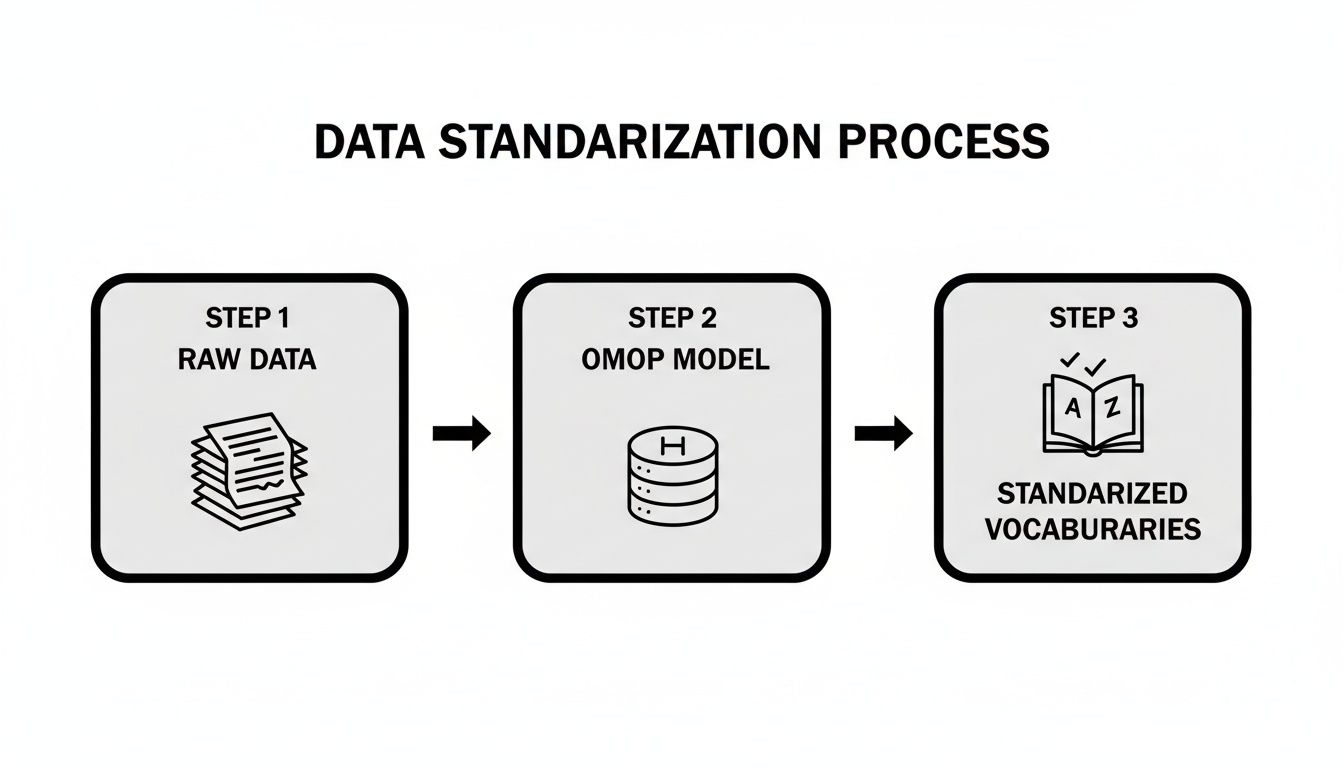 A diagram illustrating the data standardization process with three steps: Raw Data, OMOP Model, and Standardized Vocabularies.