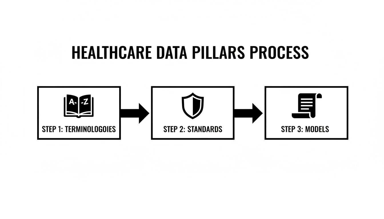 A flowchart depicting the healthcare data pillars process: Step 1 Terminologies, Step 2 Standards, Step 3 Models.