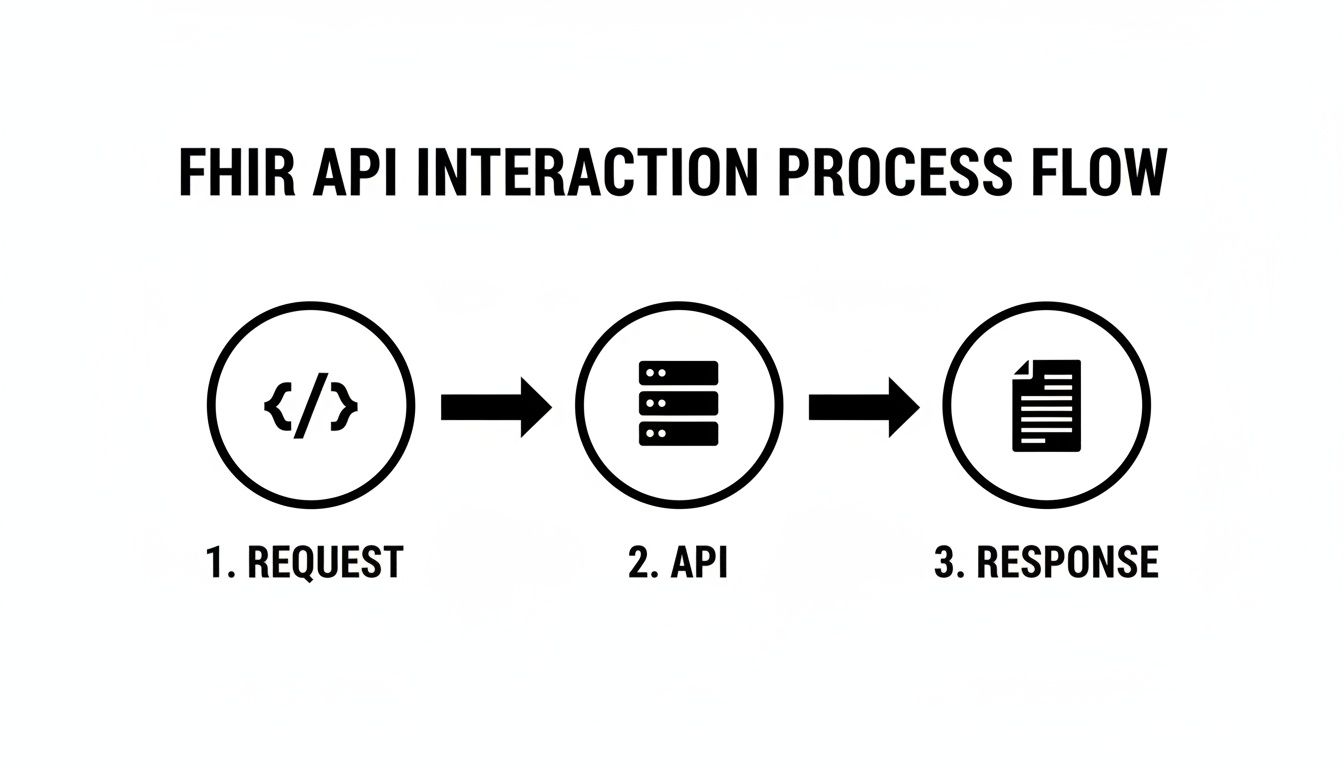 A black and white diagram illustrates the FHIR API interaction process: Request -> API -> Response.