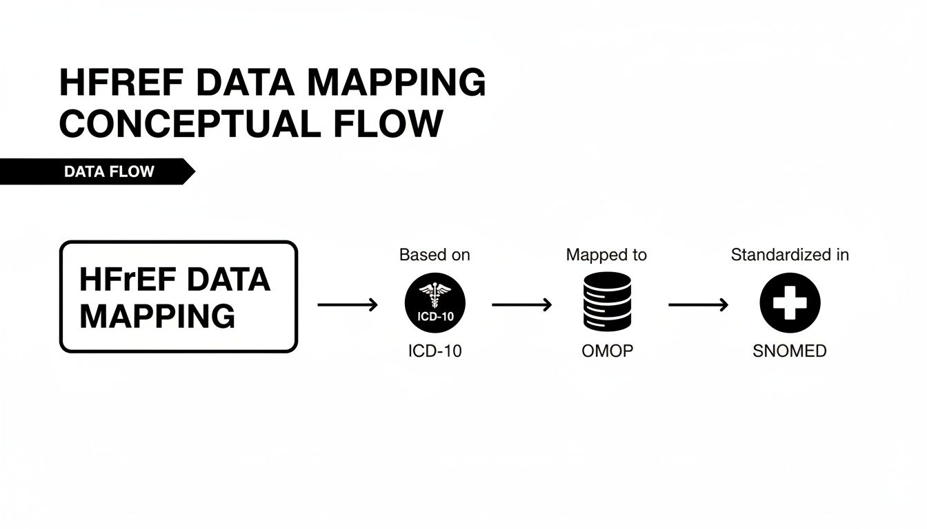 Conceptual flow diagram illustrating HFrEF data mapping from ICD-10, mapped to OMOP, and standardized in SNOMED.