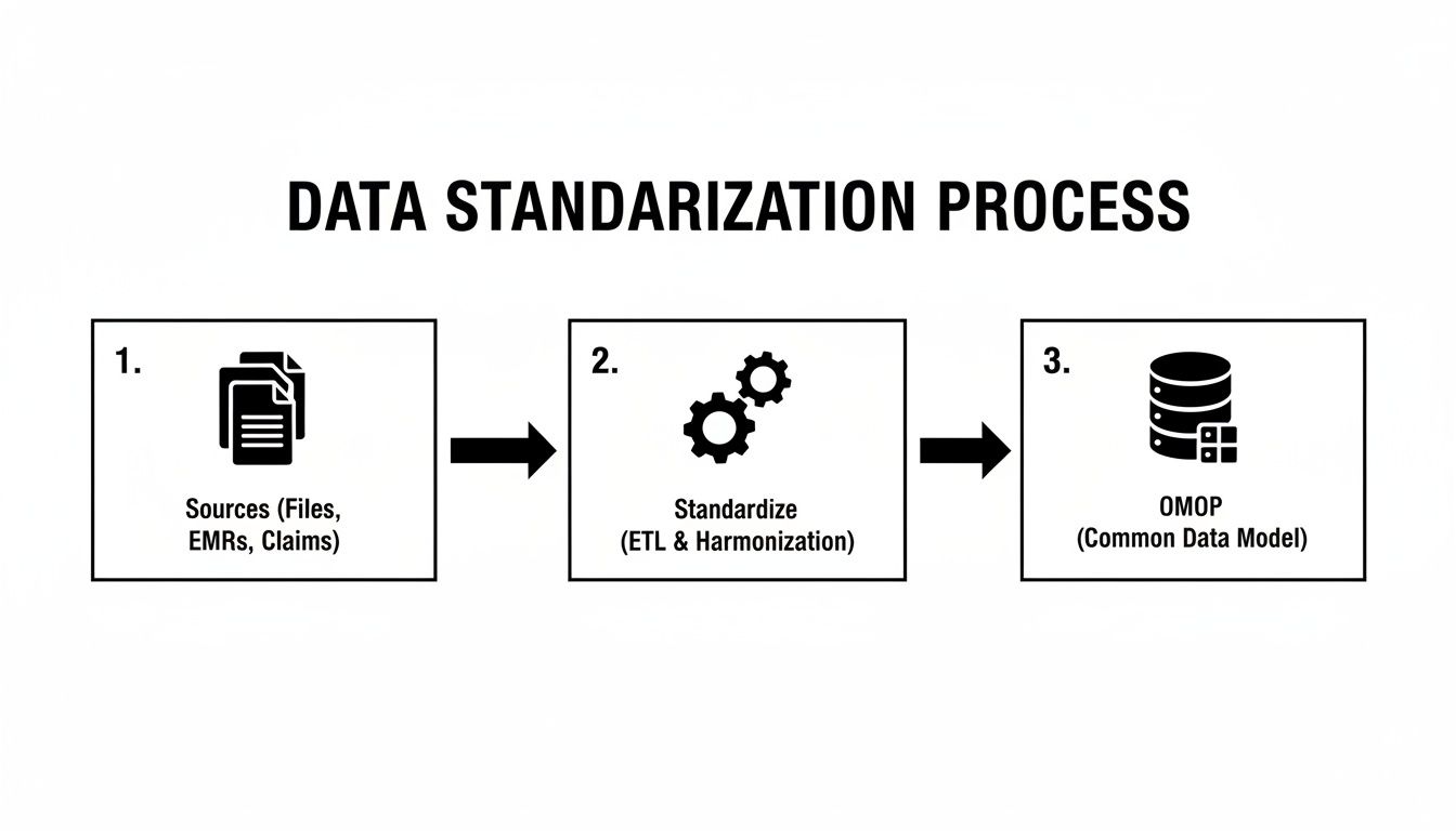 Flowchart illustrating the healthcare data standardization process from various sources to OMOP Common Data Model.