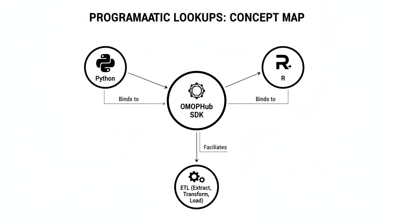 Concept map illustrating programmatic lookups, connecting Python and R to OMOPHub SDK, facilitating ETL.