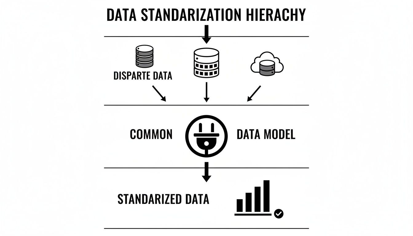 Hierarchy of data standardization: disparate data flows into a common data model, resulting in standardized data.