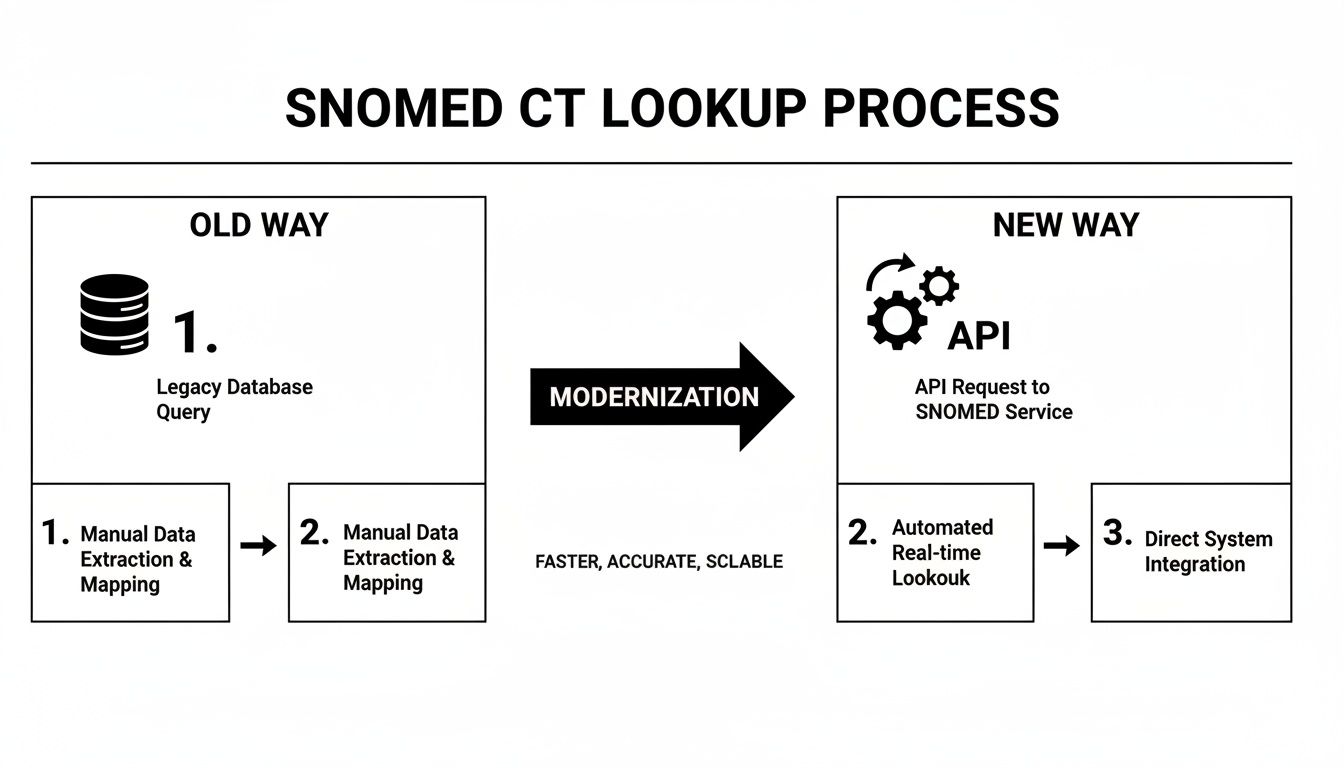Diagram illustrating SNOMED CT lookup process modernization, transitioning from manual legacy database queries to an automated API-driven approach.
